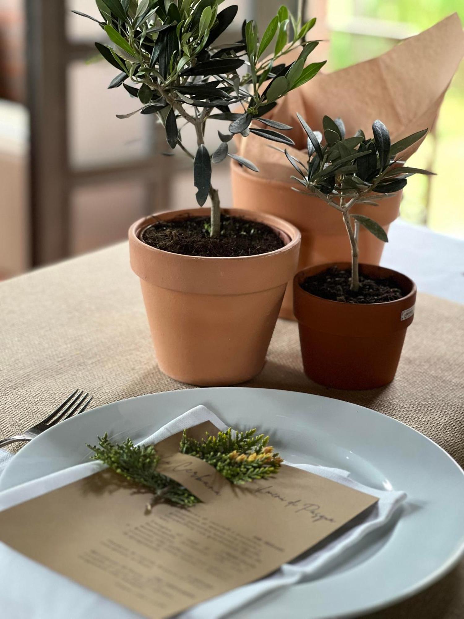 Agriturismo La Cerbana Палая Екстериор снимка